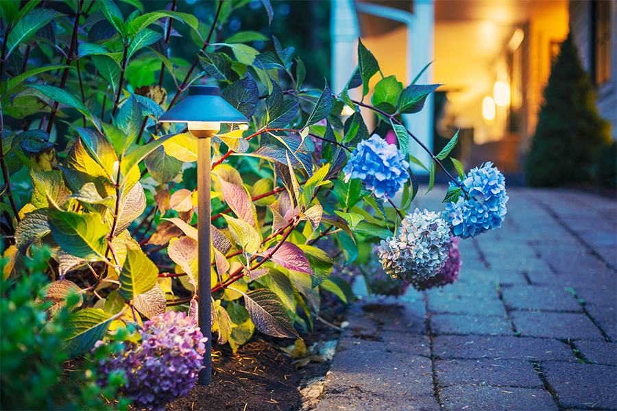 Landscape Lighting & Landscape Lights