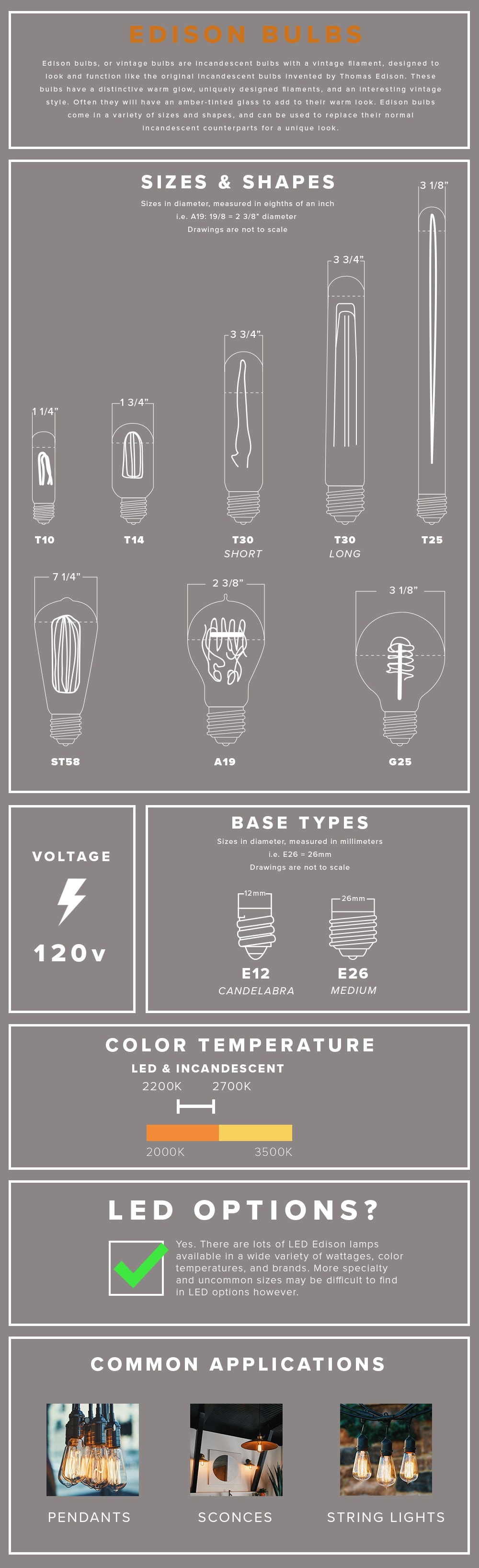 edison-bulbs-detail
