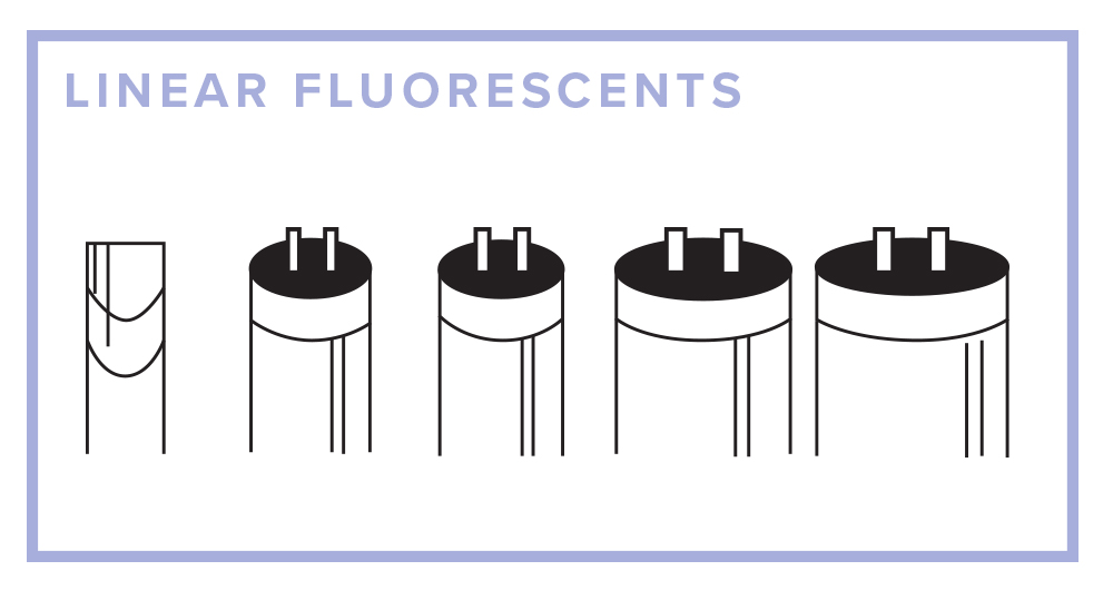 linear-fluorescents-main