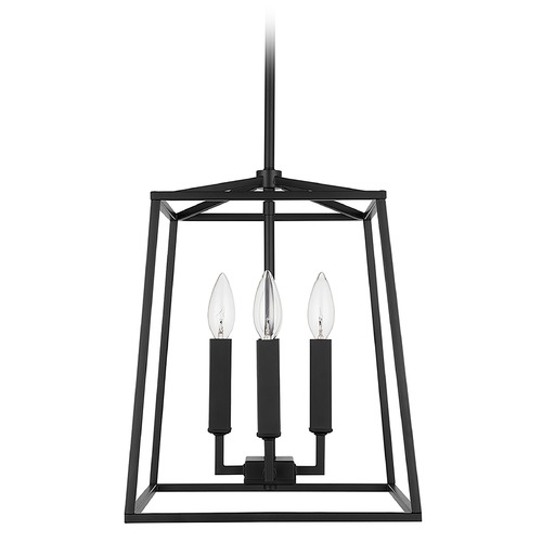 Thea 12-Inch Pendant in Matte Black by Capital Lighting