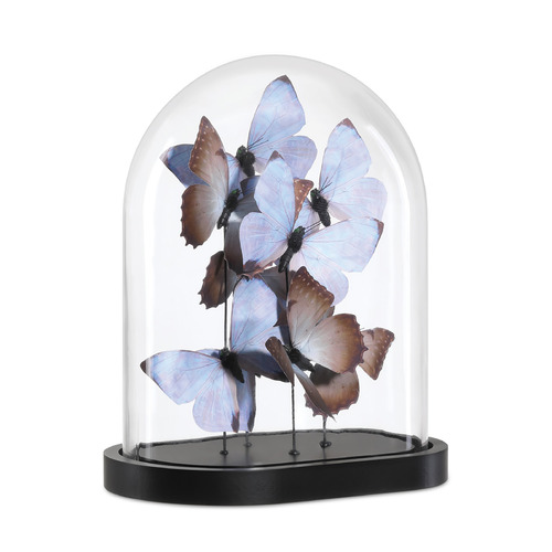 Currey and Company Lighting Currey and Company Rue Lilac & Brown & Black & Clear Novelty 1200-0976
