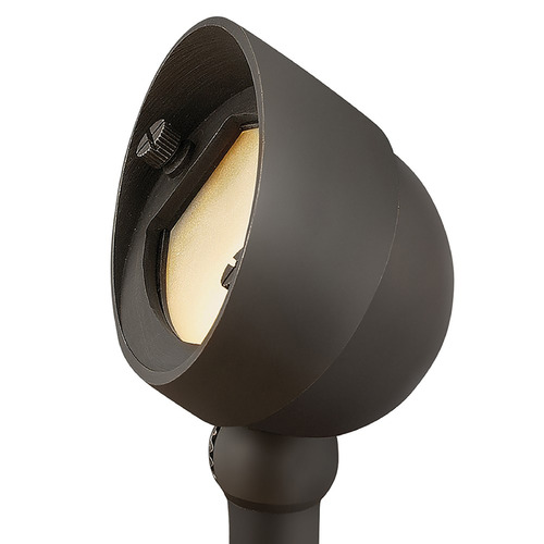 Hinkley Hardy Island Brass Satin Black LED Flood - Spot Light