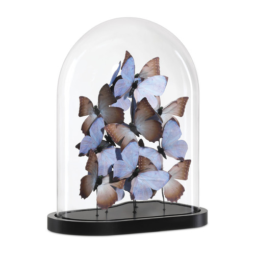 Currey and Company Rue Lilac & Brown & Black & Clear Novelty