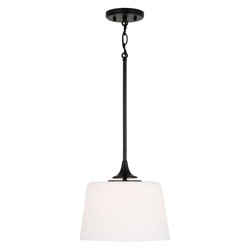 HomePlace by Capital Lighting Presley Dual Mount Pendant in Black by HomePlace by Capital Lighting 248911MB