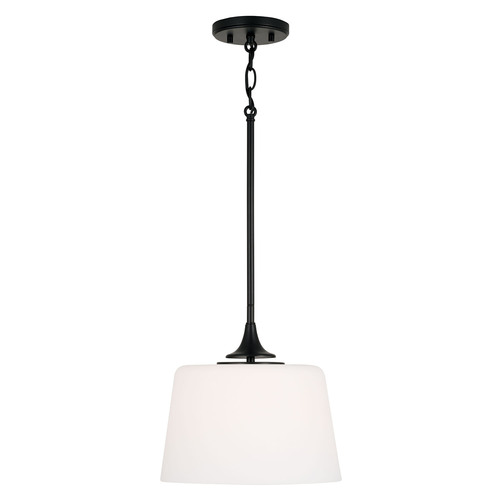 Presley Dual Mount Pendant in Black by HomePlace by Capital Lighting