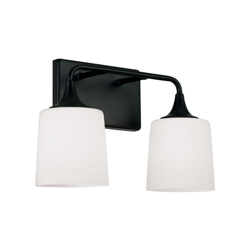 HomePlace by Capital Lighting Presley 2-Light Bath Light in Black by HomePlace by Capital Lighting 148921MB-541