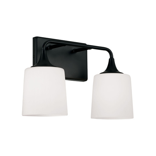 Presley 2-Light Bath Light in Black by HomePlace by Capital Lighting