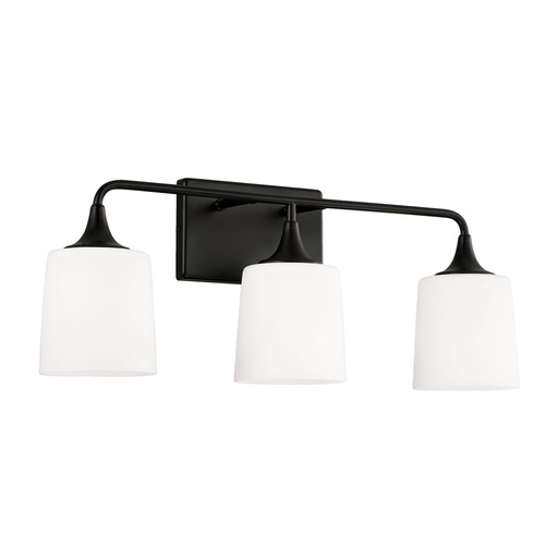 Presley 3-Light Bath Light in Black by HomePlace by Capital Lighting