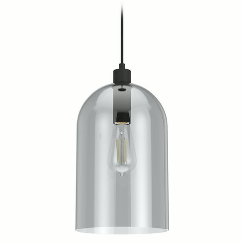 Hunter Fan Company Lochemeade Natural Black Iron Mini-Pendant Light with Bowl / Dome Shade