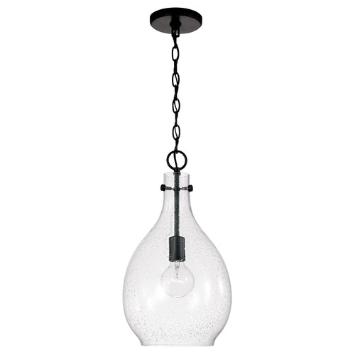 Brentwood 18-Inch Pendant in Black by HomePlace by Capital Lighting