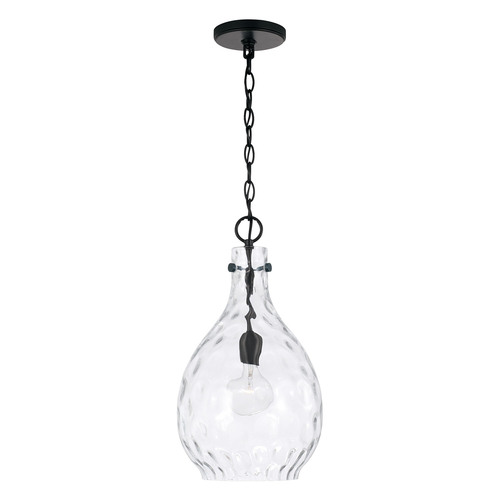 Brentwood 18-Inch Pendant in Black by HomePlace by Capital Lighting