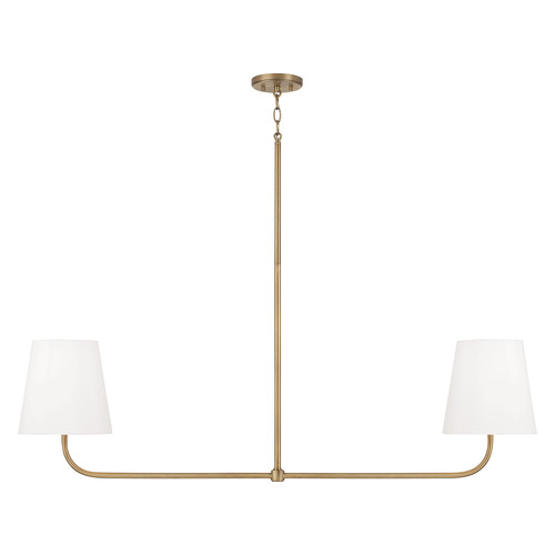 Capital Lighting Brody 50-Inch Linear Light in Aged Brass by Capital Lighting 849421AD