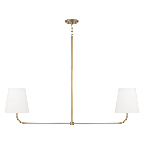 Brody 50-Inch Linear Light in Aged Brass by Capital Lighting