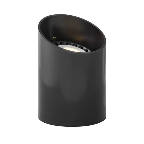 PAR36 Reversible Well Light in Black by Hinkley Lighting