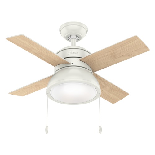 Loki 36-Inch Fan in Fresh White by Hunter Fan Company