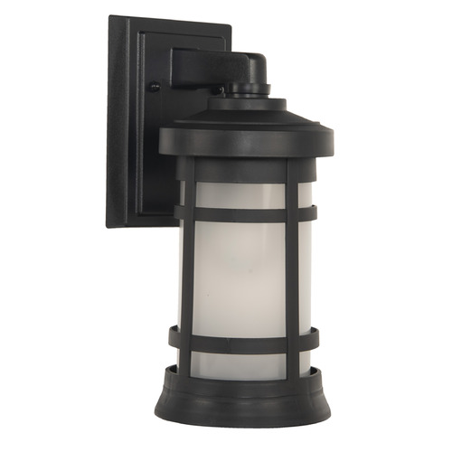 Resilience Lanterns Textured Black Outdoor Wall Light by Craftmade Lighting