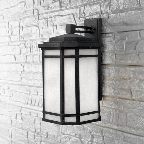 Cherry Creek 20.50-Inch Outdoor Wall Lantern in Vintage Black by Hinkley Lighting