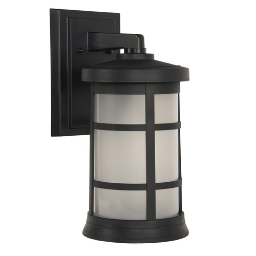 Resilience Lanterns Textured Black Outdoor Wall Light by Craftmade Lighting