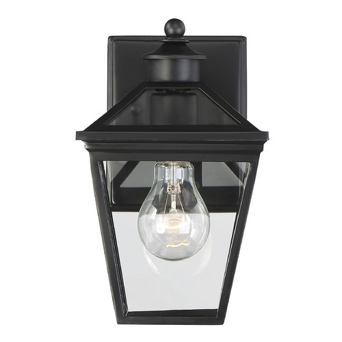 Ellijay 9.75-Inch Outdoor Wall Light in Black by Savoy House