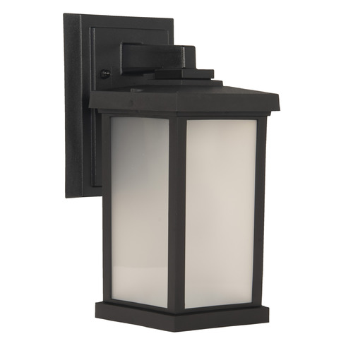Resilience Lanterns Textured Black Outdoor Wall Light by Craftmade Lighting