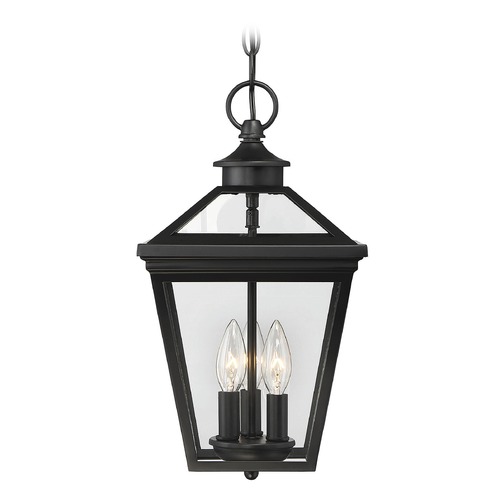 Ellijay Black Outdoor Hanging Light by Savoy House