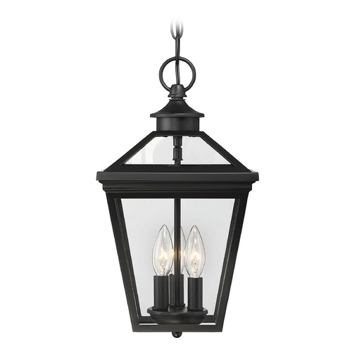 Savoy House Ellijay Black Outdoor Hanging Light by Savoy House 5-146-BK