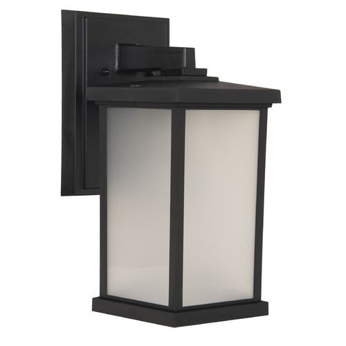 Resilience Lanterns Textured Black Outdoor Wall Light by Craftmade Lighting