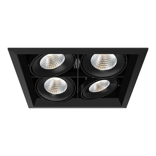 Eurofase Lighting Black & Black LED Recessed Kit by Eurofase Lighting TE134BLED-40-2-01
