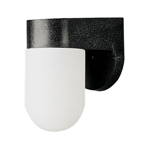 Outdoor Wall Light with White in Black by Progress Lighting