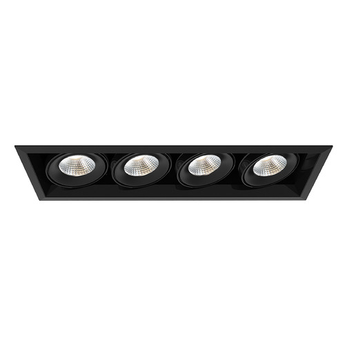 Eurofase Lighting Black & Black LED Recessed Kit by Eurofase Lighting TE134ALED-30-2-01
