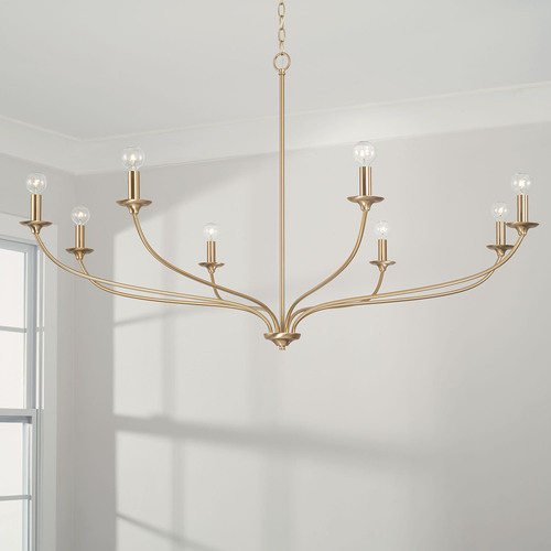 HomePlace by Capital Lighting Dolan Chandelier in Matte Brass by HomePlace by Capital Lighting 449981MA