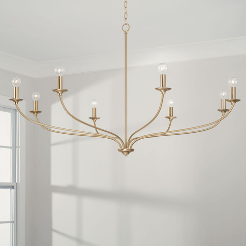 Dolan Chandelier in Matte Brass by HomePlace by Capital Lighting