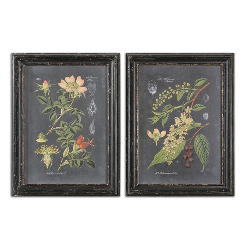 Midnight Botanicals Wall Art Set of 2 by Uttermost Lighting