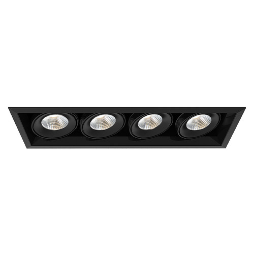 Eurofase Lighting Black & Black LED Recessed Kit by Eurofase Lighting TE134ALED-30-4-01