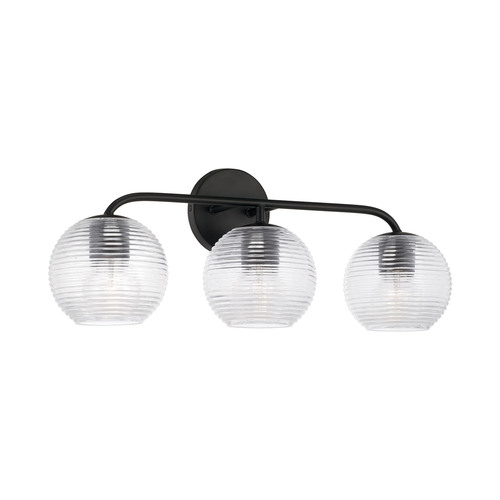 Dolan 24.50-Inch Bath Light in Black by HomePlace by Capital Lighting