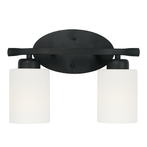 Dixon 13-Inch Vanity Light in Matte Black by HomePlace by Capital Lighting