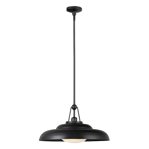 Alora Lighting Palmetto Pendant in Urban Bronze by Alora Lighting PD344020UBGO