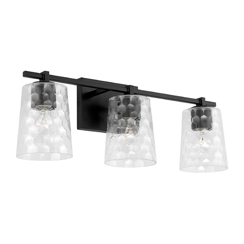 HomePlace by Capital Lighting Matte 24-Inch Black Bath Light by HomePlace by Capital Lighting 143531MB-517