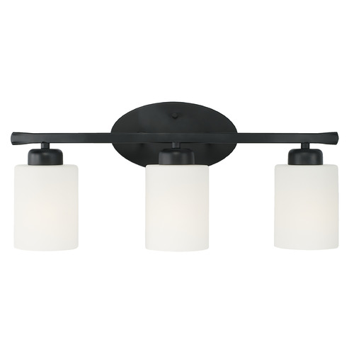 HomePlace by Capital Lighting Dixon 20.50-Inch Vanity Light in Matte Black by HomePlace by Capital Lighting 115231MB-338