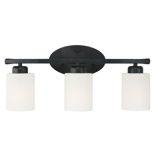 Dixon 20.50-Inch Vanity Light in Matte Black by HomePlace by Capital Lighting