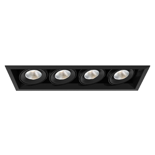 Eurofase Lighting Black & Black LED Recessed Kit by Eurofase Lighting TE134ALED-40-2-01