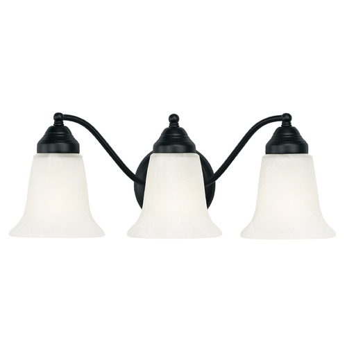 Capital Lighting Brady 19-Inch Vanity Light in Matte Black by Capital Lighting 1363MB-117