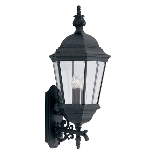 Outdoor Wall Light with Clear Glass in Black Finish