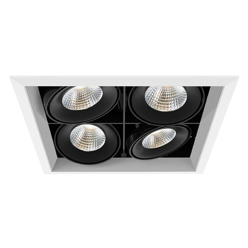 Eurofase Lighting White & Black LED Recessed Kit by Eurofase Lighting TE134BLED-40-2-02