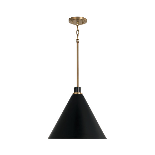 Bradley 15-Inch Pendant in Aged Brass & Black by Capital Lighting