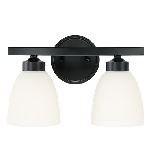 Jameson 13-Inch Vanity Light in Matte Black by HomePlace Lighting