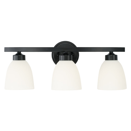 HomePlace by Capital Lighting Jameson 21-Inch Vanity Light in Matte Black by HomePlace Lighting 114331MB-333