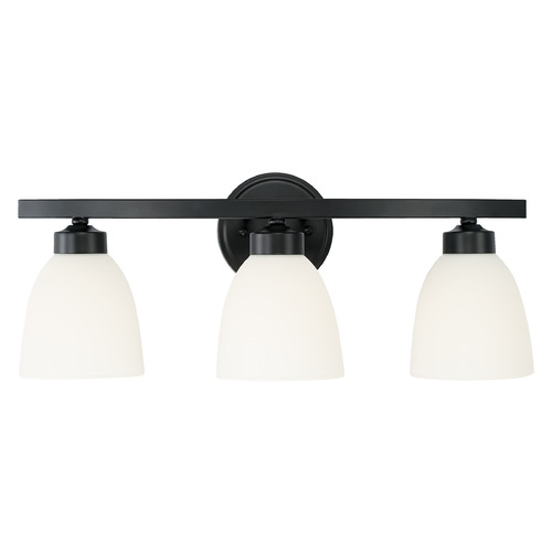 Jameson 21-Inch Vanity Light in Matte Black by HomePlace Lighting