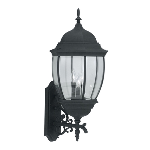 Outdoor Wall Light with Clear Glass in Black Finish