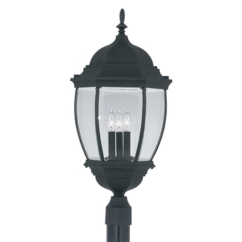 Post Light with Clear Glass in Black Finish